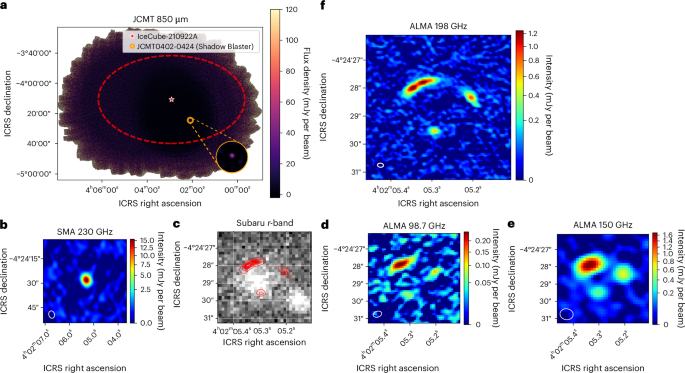 Compact dusty starbursts at cosmic noon linked to high-energy neutrinos