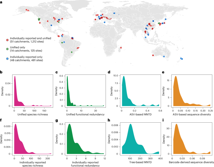A unified analysis of global riverine eDNA reveals common associations of fish biodiversity with drainage characteristics