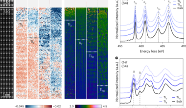 Electron–phonon coupling and symmetry breaking in superconducting oxide interfaces near ferroelectric quantum criticality