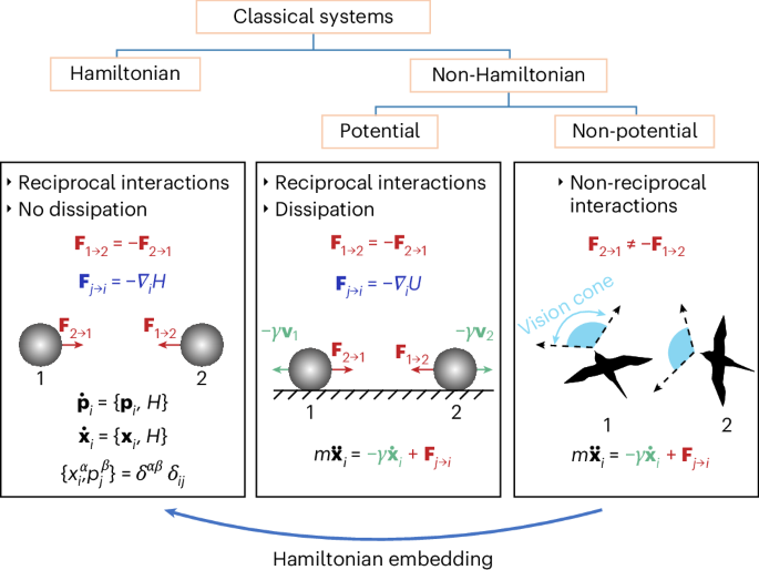 Hamiltonian description of non-reciprocal interactions