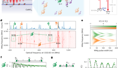 Coherent control of interacting solid-state spins below the diffraction limit