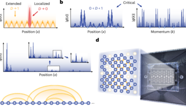 Observation of exact quantum critical states