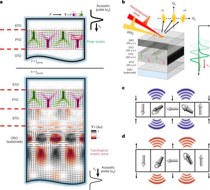 Nanoscale strain wave generation by a piezoelectric grating from polar vortices