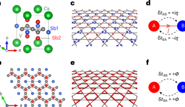 Microscopic signatures of an imaginary charge density wave in a kagome metal