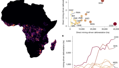 Mining triggers extensive additional deforestation in sub-Saharan Africa