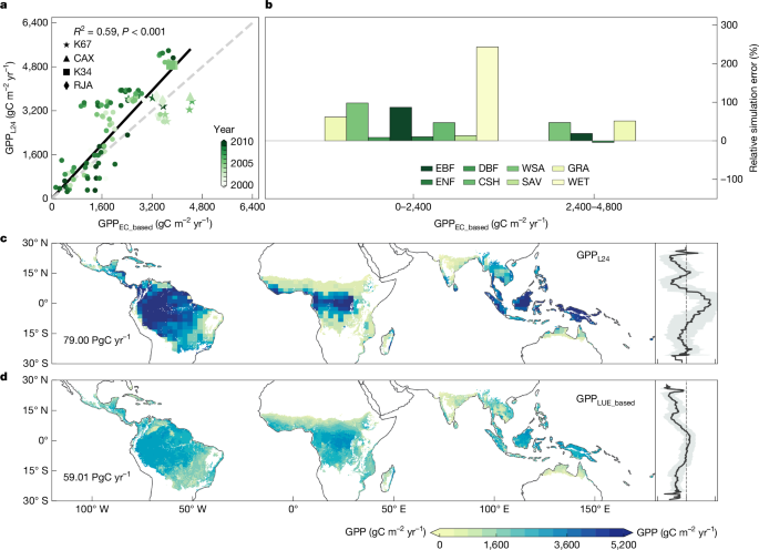 The size of tropical vegetation gross primary production