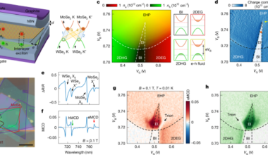 Two-component exciton condensates in an electron–hole bilayer