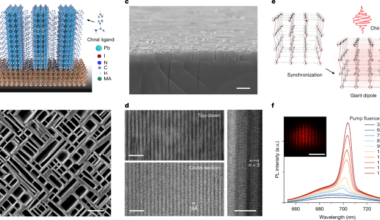 Chiral superfluorescence from perovskite superlattices at room temperature