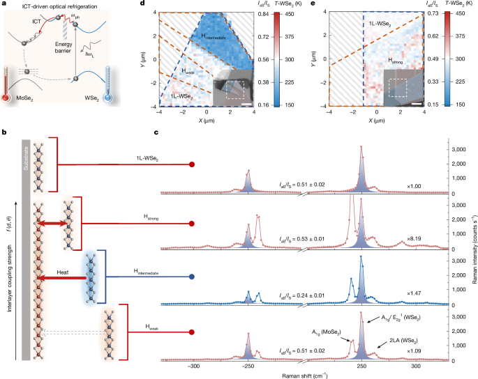 Optical cooling by interfacial charge transfer in 2D heterostructures