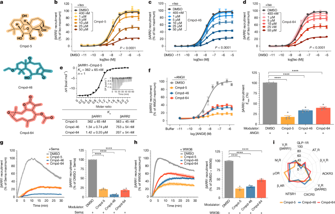 Small-molecule modulation of β-arrestins | Nature