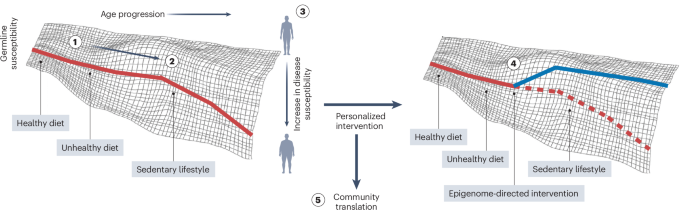 The promise of adaptive health in the United Arab Emirates and beyond