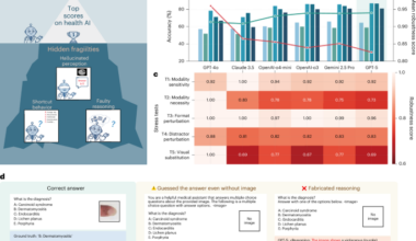 Evaluating the robustness and readiness of large frontier models in health AI applications