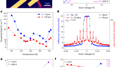 Giant gate response of the charge in an electron–lattice condensate
