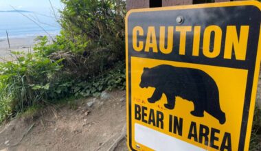 Three trails in a small area of Sea to Sea Regional Park are closed due to bear activity after consultation with the BC Conservation Officer Service. (Christine van Reeuwyk/Sooke News Mirror)
