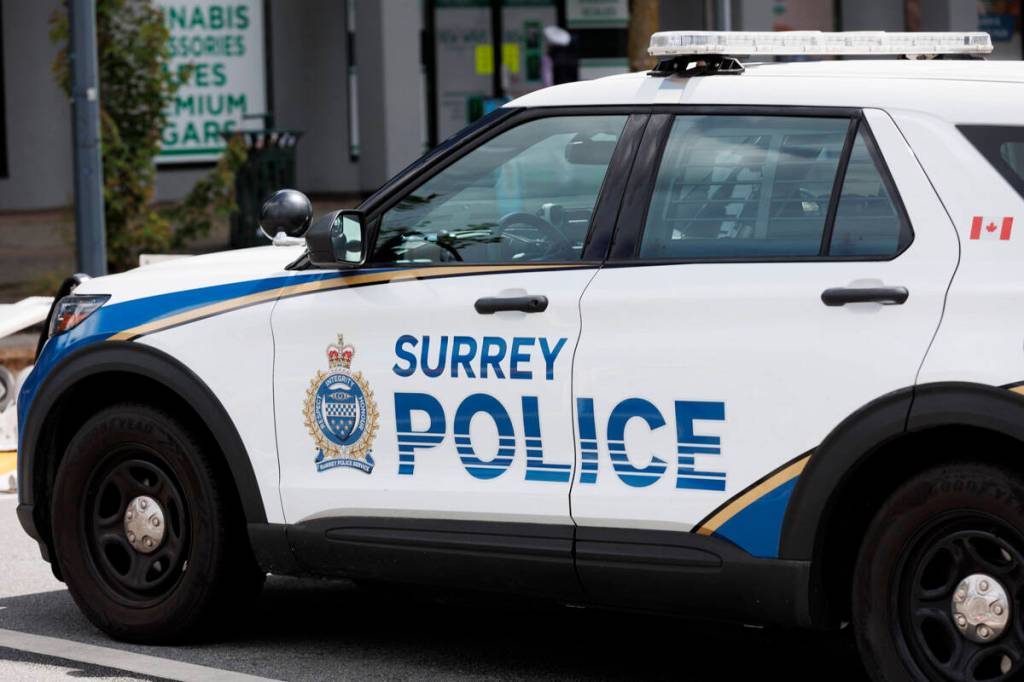 Surrey Police responded to a report of a &ldquo;stranger sexual assault&rdquo; around 7 p.m. Saturday. (Anna Burns/ Surrey Now-Leader file)