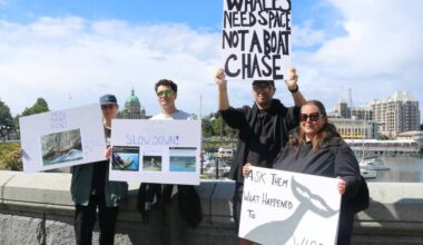 A small group of protesters gather in Victoria&rsquo;s Inner Harbour to protest the whale-watching industry June 6.(Ben Fenlon/Victoria News)