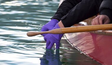 Island Health has issued a no swimming advisory for the Stelly&rsquo;s Cross Road beach access after routine water sampling detected high levels of enterococci bacteria. (Black Press Media file photo)