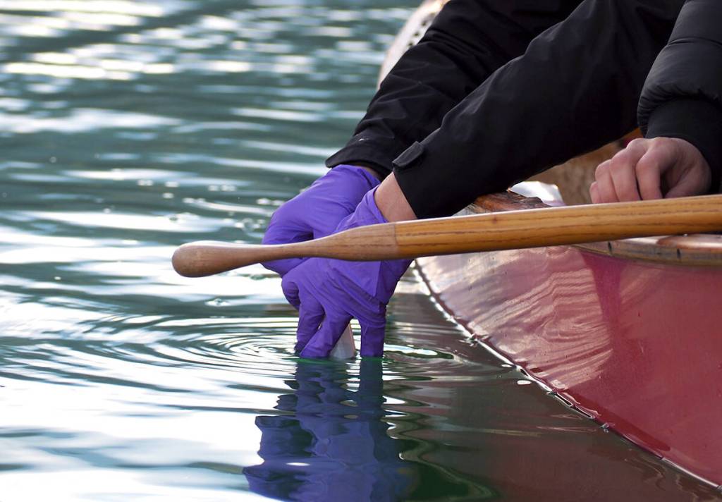 Island Health has issued a no swimming advisory for the Stelly&rsquo;s Cross Road beach access after routine water sampling detected high levels of enterococci bacteria. (Black Press Media file photo)