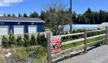 A South Surrey property linked to Surrey Coun. Mandeep Nagra has had a stop-work order issued on it by the city since November of last year. (Tricia Leslie/Peace Arch News)