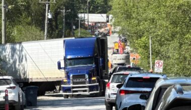 Some 500 signatures have been collected on a petition asking the City of Surrey to make 14 Avenue permanently connect 172 and 168 Streets, for the safety of customers and staff of West Coast Nursery, as well as area residents. (Contributed to Peace Arch News)
