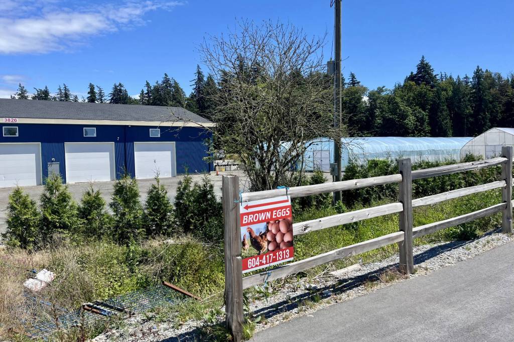A South Surrey property linked to Surrey Coun. Mandeep Nagra has had a stop-work order issued on it by the city since November of last year. (Tricia Leslie/Peace Arch News)