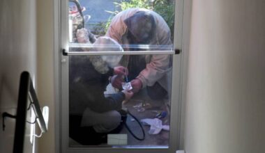Drug users in Maple Ridge are being warned about high concentrations of Carfentanil in light brown granules sold as Down. (The News files)