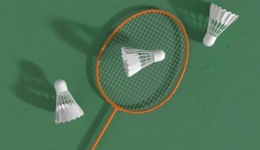 The Sparks Labs 2026 White Rock Badminton Tournament happens this weekend (June 20-22) at Grandview Heights Secondary in South Surrey. (Unsplash photo)