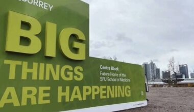 One of seven signs Linda Annis characterizes as &ldquo;billboards-for-Brenda.&rdquo; (Photo: surrey.ca)