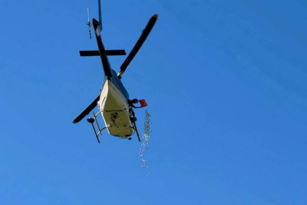 A man from a helicopter drops hundreds of golf balls onto the driving range at the Okanagan Golf Club in Kelowna on June 18 (Brayden Ursel/Black Press)