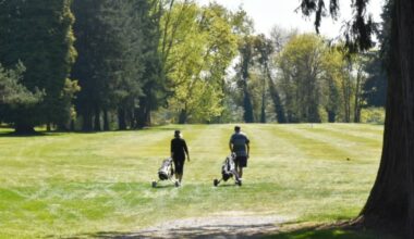 Youth can try golfing for free at Castlegar clinic. (Maple Ridge News File)