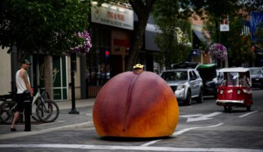 A peach vehicle took centre stage at the 24th annual Peach City Beach Cruise. (Brennan Phillips/Western News)