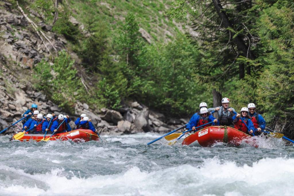 Apex Rafting guides take guests for a ride down the Illecillewaet River rapids east of Revelstoke. (Photo courtesy Apex Raft Company/Facebook)