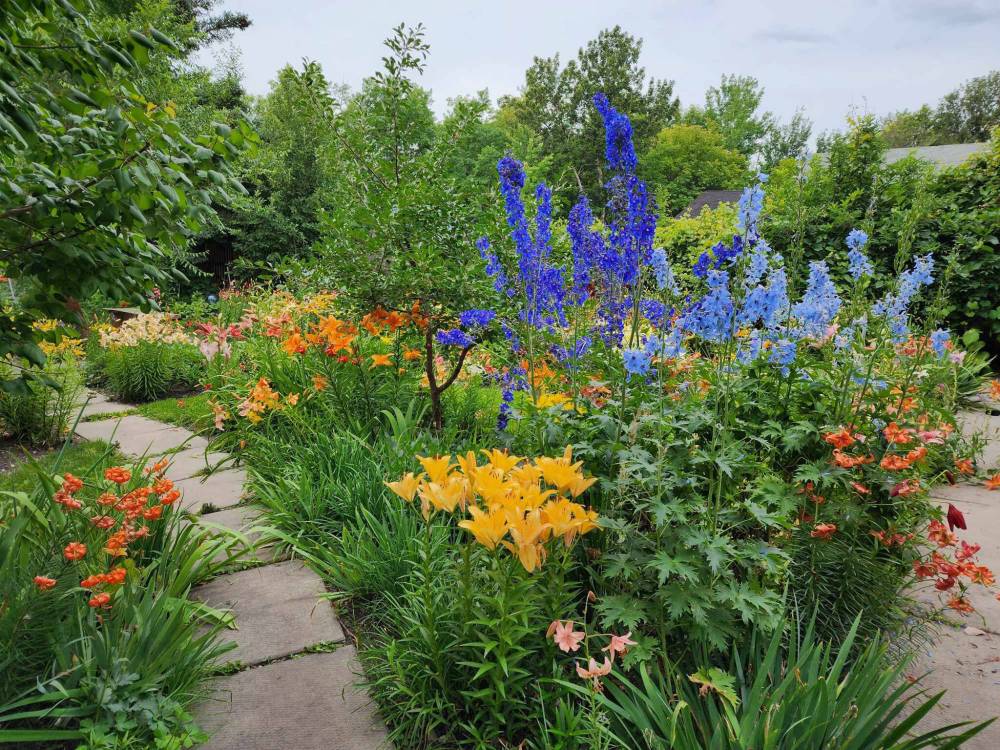 LEANNE DOWD PHOTO
This summer, tour Leanne Dowd’s one-acre garden, a.k.a. Alice’s Wonderland, in Neepawa.