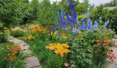 Inspiring gardens to see this summer in Manitoba – Winnipeg Free Press
