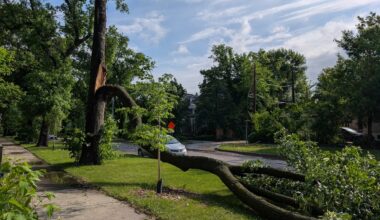Wild storm leaves parts of southern Manitoba walloped by water