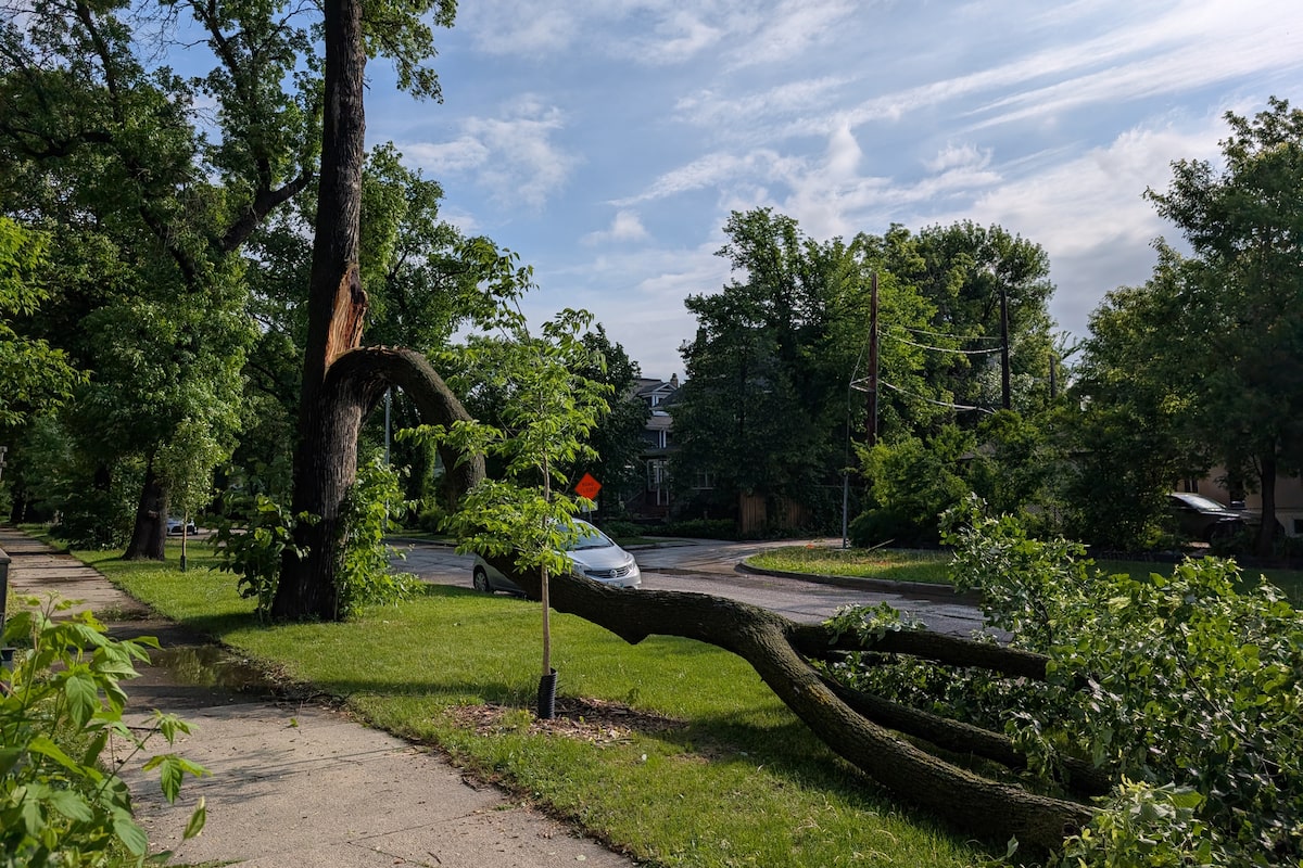 Wild storm leaves parts of southern Manitoba walloped by water