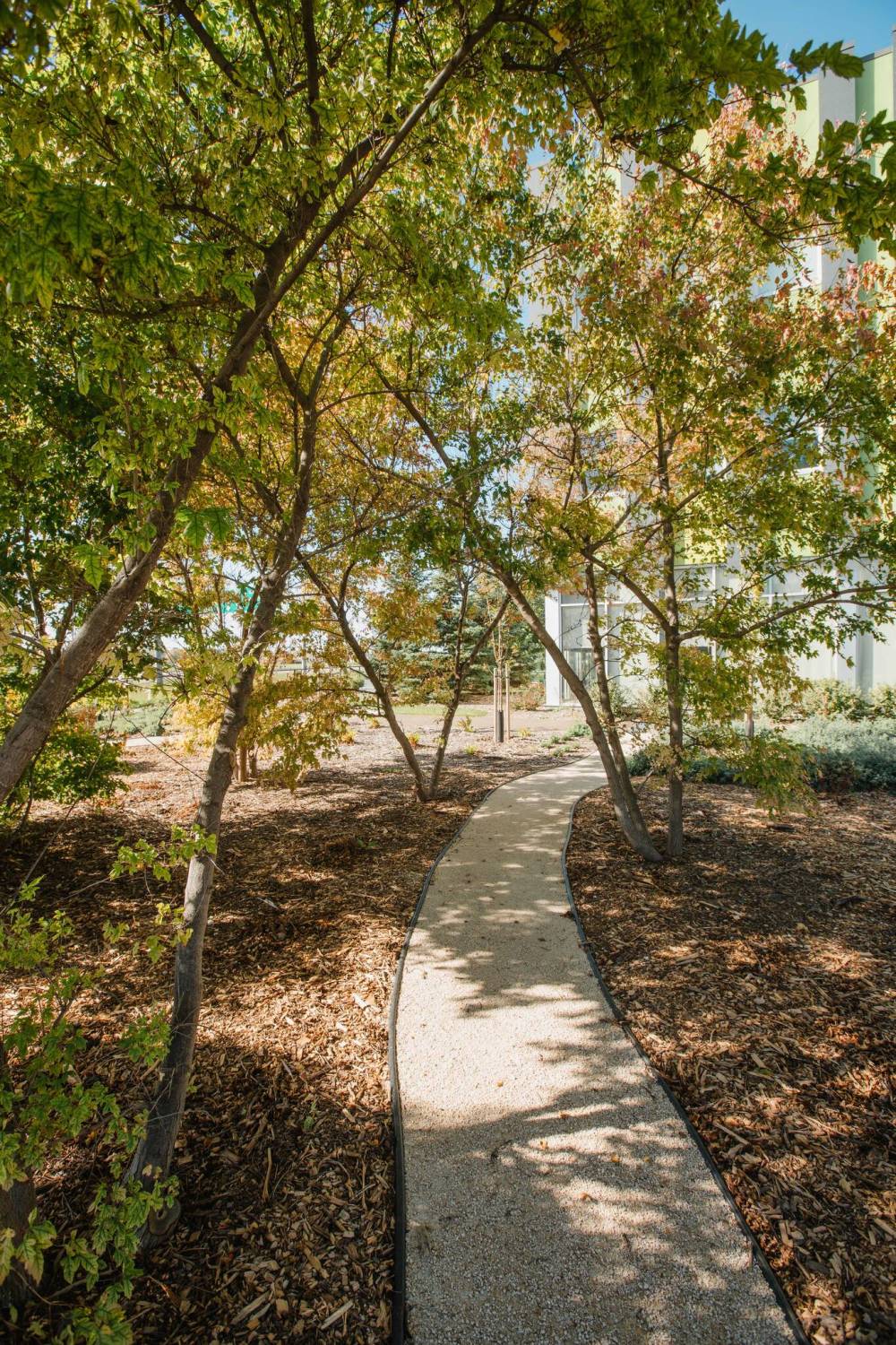 Bhavana Bonde photo
Mature trees at ACCESS Fort Garry therapeutic garden provide leafy shade along pea gravel pathways.