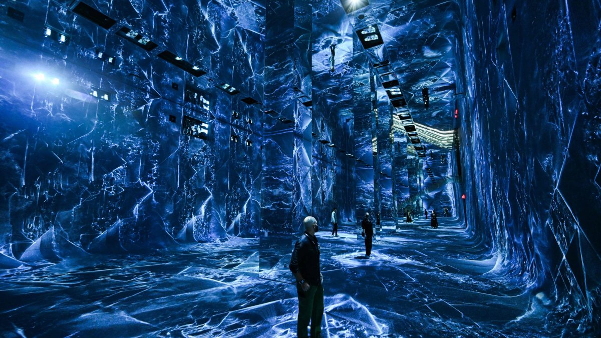 Turkish artist Refik Anadol opens AI rainforest museum in LA