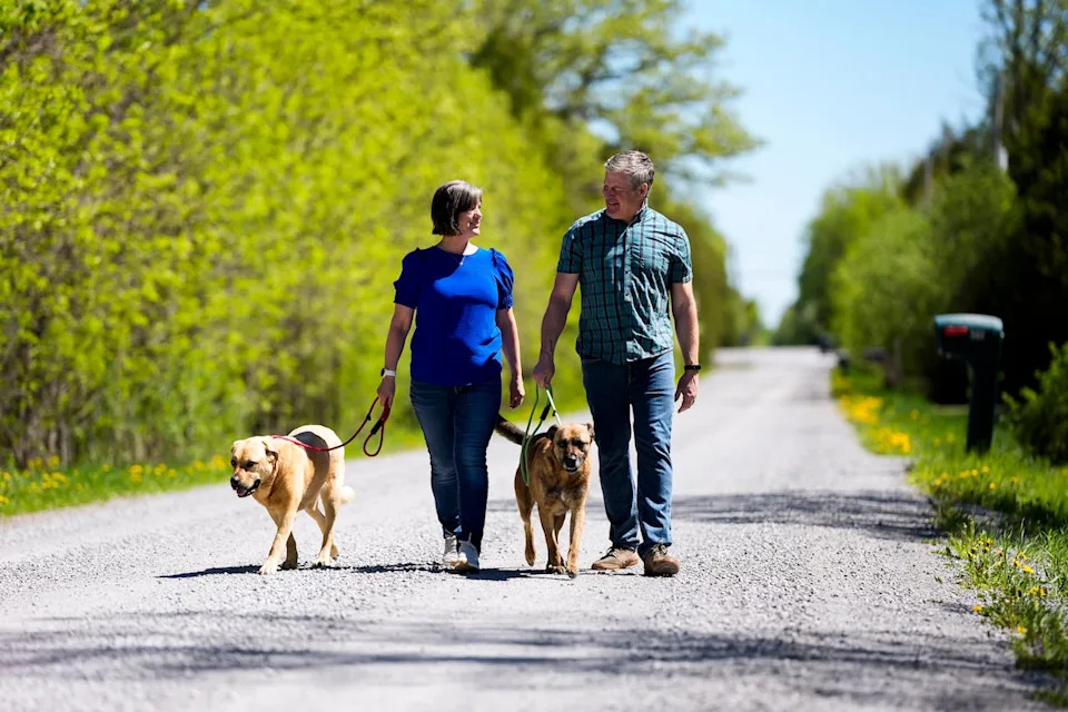 Brendan Hynes, a veteran of the Canadian Army with suspected CTE, and his wife, Crystal Peoples-Hynes, walk their dogs Bella and Ollie near their home in Ashton, Ont.