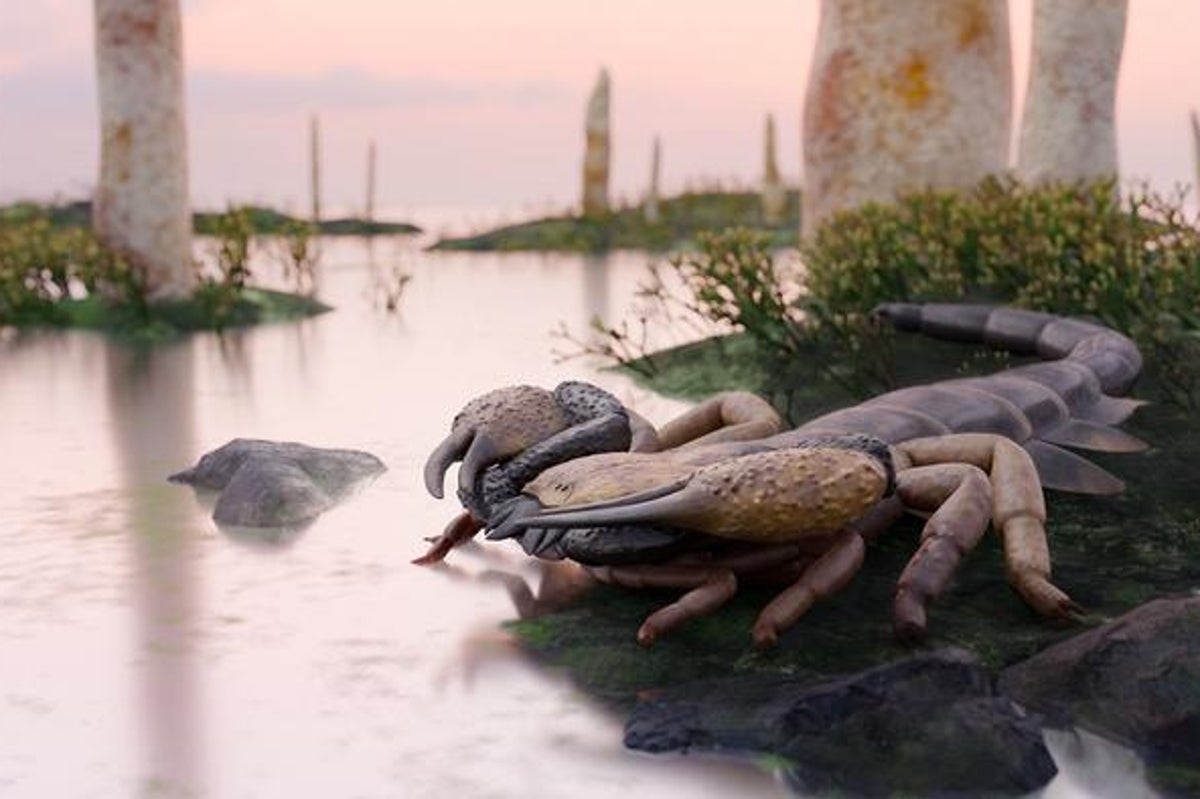 Gigantic scorpions with formidable pincers once roamed England and Wales, fossil reveals