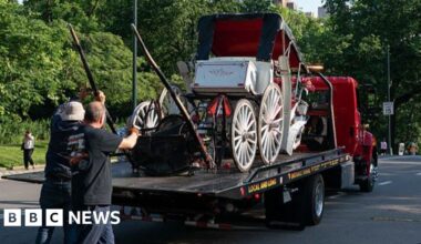Teenager dies in horse-drawn carriage accident in New York - BBC