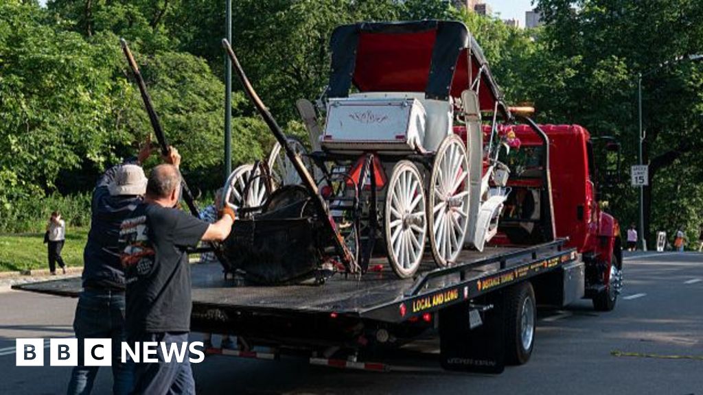 Teenager dies in horse-drawn carriage accident in New York - BBC