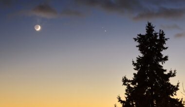 Don't miss the moon and Saturn put on a spectacular show before sunrise June 10