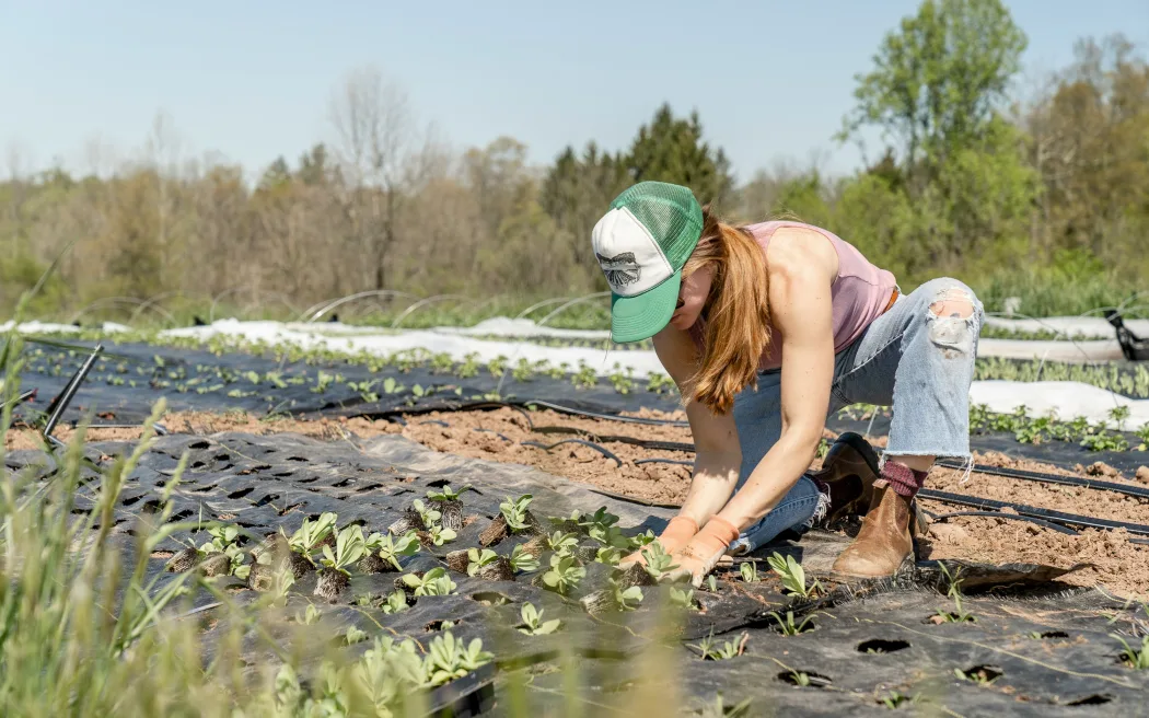 Women in farming