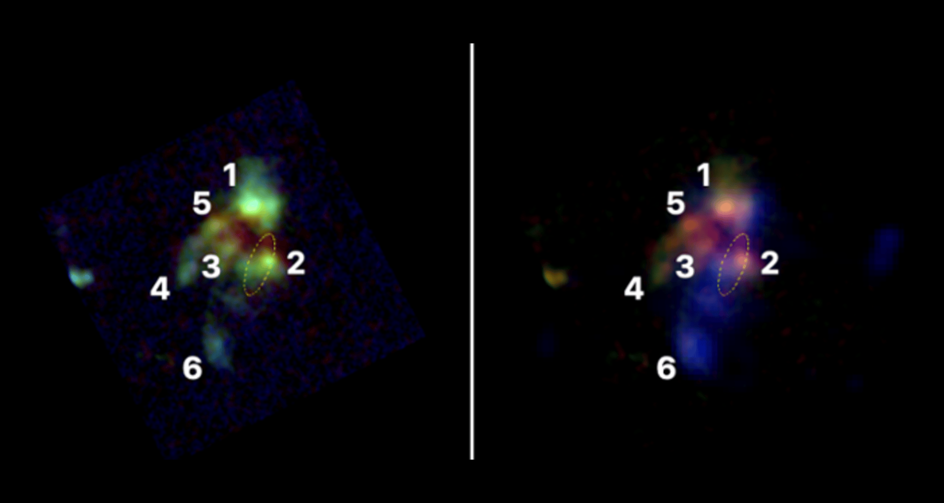 James Webb Space Telescope catches 6 galaxies merging into one of the largest galaxies in the universe