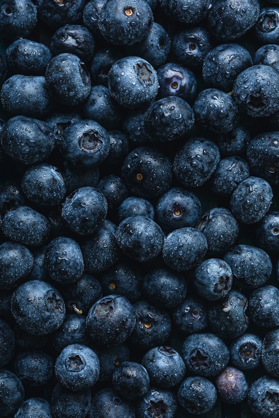 Close-up of fresh blueberries covered in dewdrops, highlighting their texture and freshness