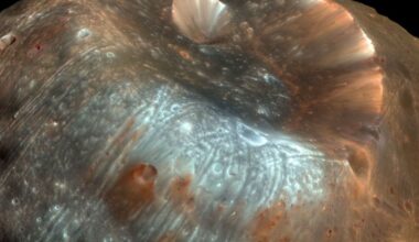 The large impact crater known as Stickney is the largest crater on the Martian moon Phobos. Credit:  NASA/JPL-Caltech/University of Arizona