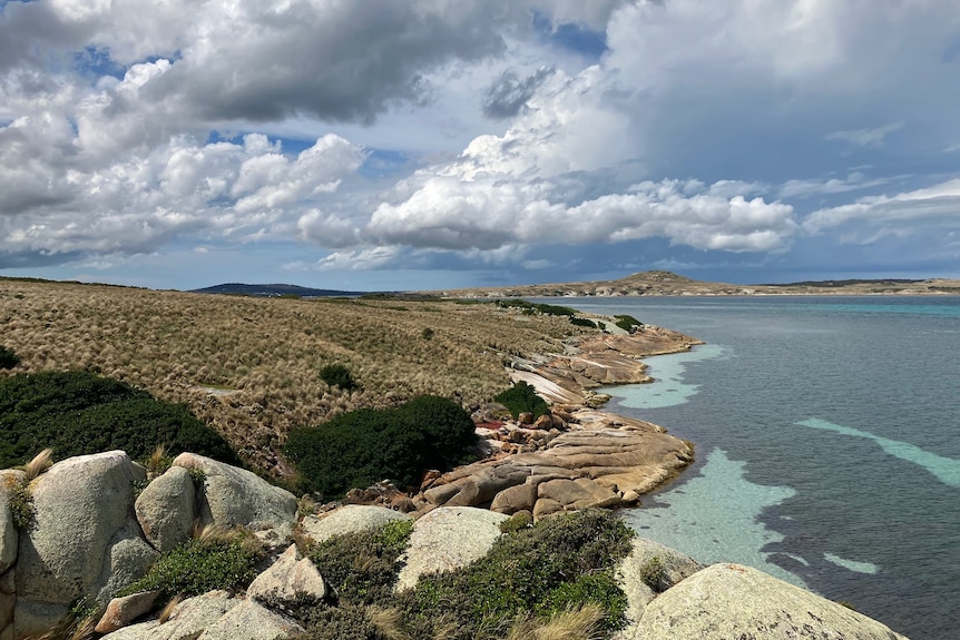 Little Dog Island with Great Dog Island in the background - Sue Robinson