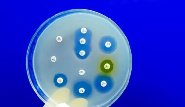 Metabolised antibiotics can drive antimicrobial resistance just as much as their parent compounds | Research