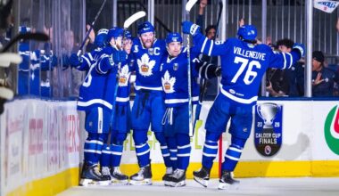 Toronto Marlies win AHL’s Calder Cup for second time